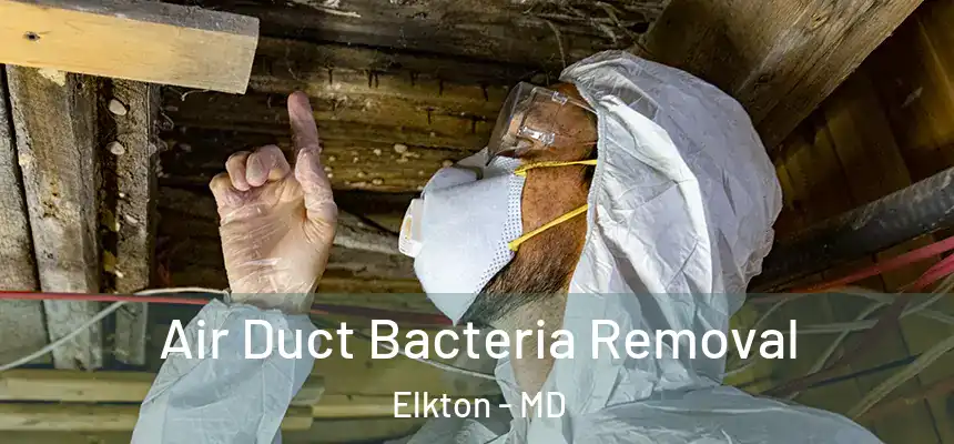  Air Duct Bacteria Removal Elkton - MD