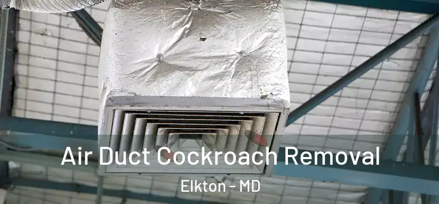  Air Duct Cockroach Removal Elkton - MD
