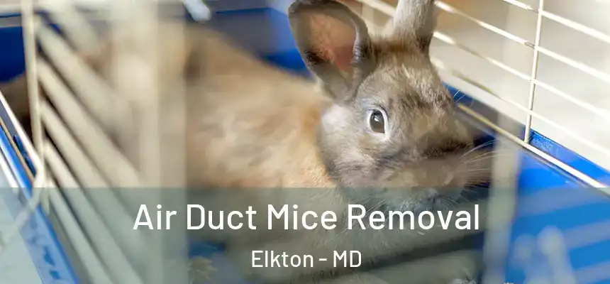  Air Duct Mice Removal Elkton - MD