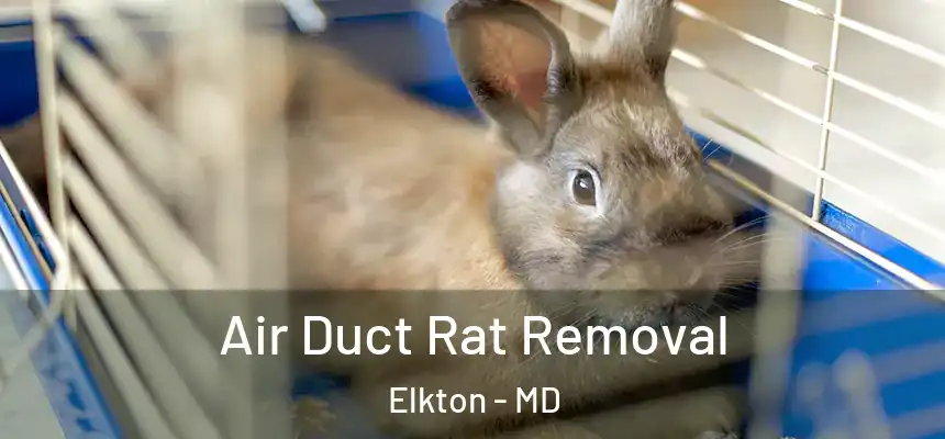  Air Duct Rat Removal Elkton - MD