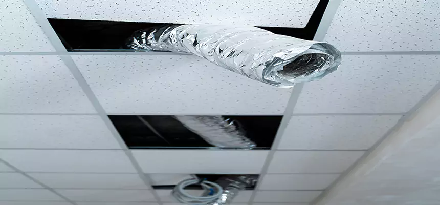 Affordable HVAC Sanitizing After Pest Removal in Elkton