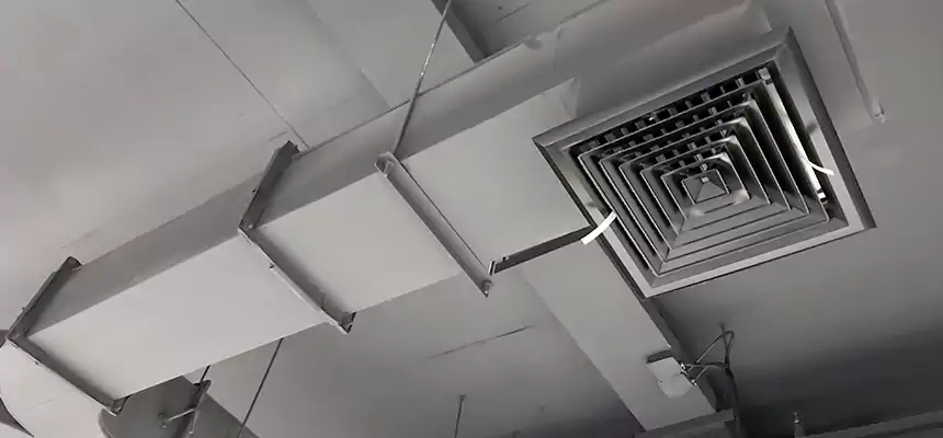 Restorative Allergy Relief Vent Cleaning – Coil, Blower & Housing Detail in Elkton