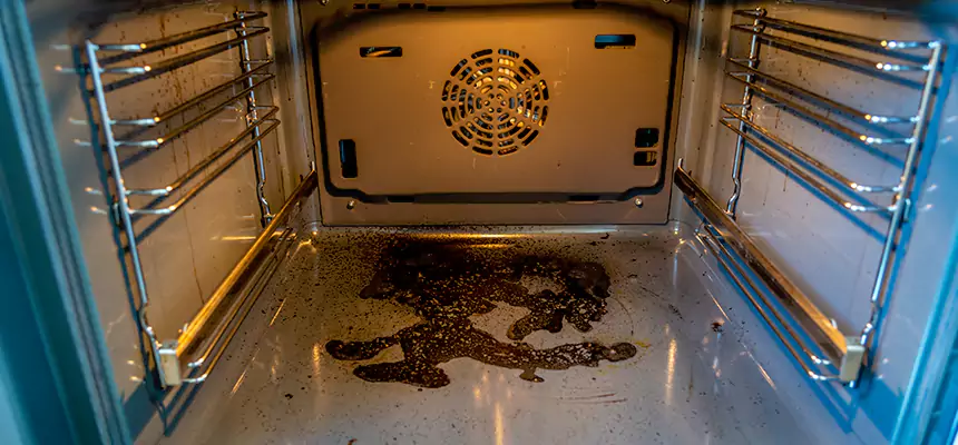 Our Dryer Vent Mold Cleaning Services in Elkton, MD