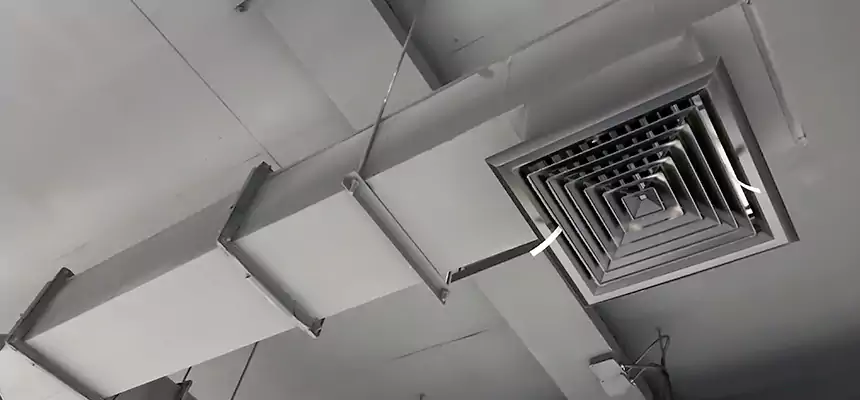 Our Rodent Droppings In Vents Services in Elkton, MD