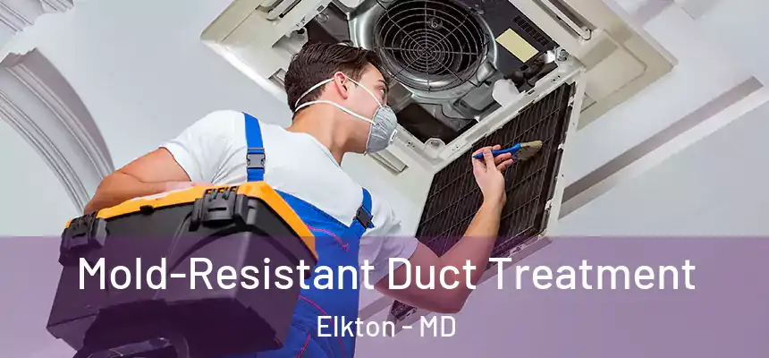  Mold-Resistant Duct Treatment Elkton - MD
