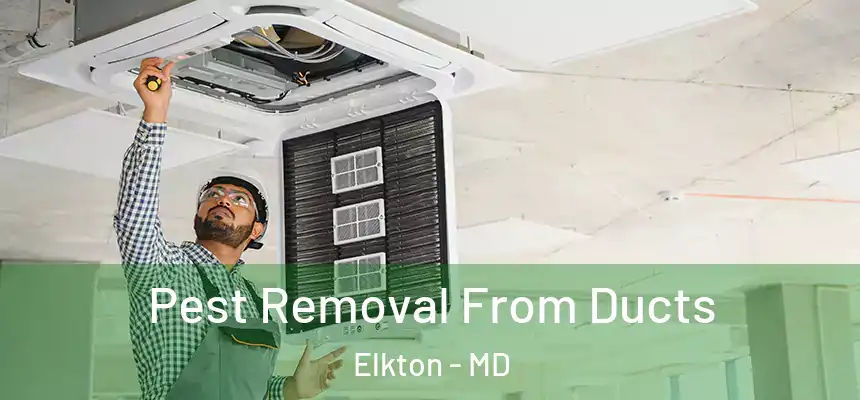  Pest Removal From Ducts Elkton - MD