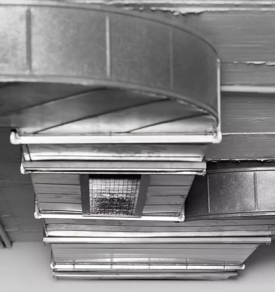 Professional Air Duct Pest Removal in Elkton, MD