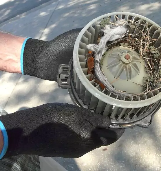 About Air Duct Rat Removal in Elkton, MD