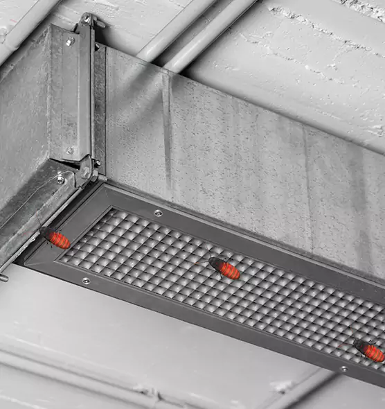 Affordable Insect Removal from Air Ducts in Elkton, MD