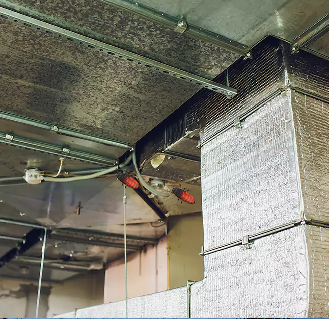 Why Homeowners & Businesses Trust Us in Elkton, MD?