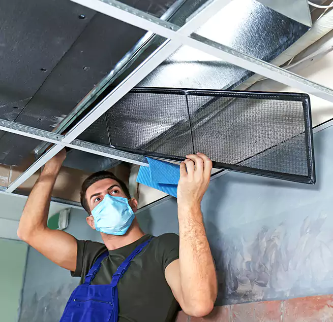 Why Homeowners Businesses Trust Us in Elkton, MD